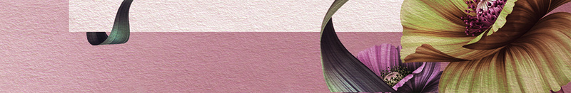 清新花苞美容淡粉色背景psd设计背景_88icon https://88icon.com 书卷 化妆 文艺 淡粉色 清新 简约 美丽 美容 背景 艺术 花朵 花苞