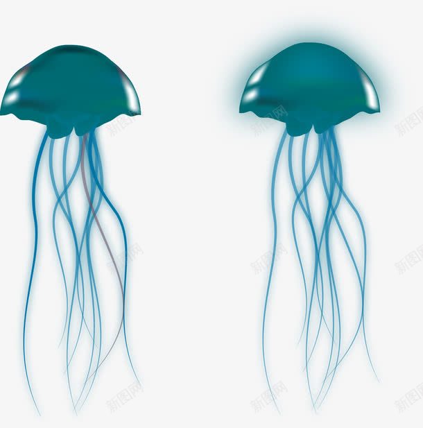水母png免抠素材_88icon https://88icon.com 水母 水母矢量图 矢量水母