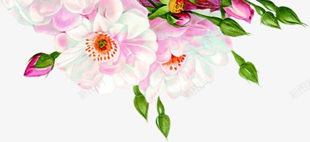 情人节海报植物花朵绿叶png免抠素材_88icon https://88icon.com 情人 植物 海报 绿叶 花朵