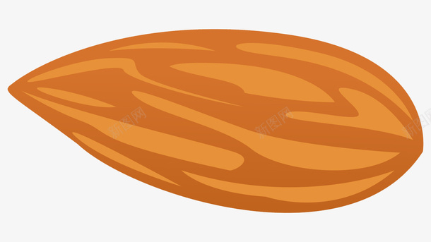 手绘一颗杏仁肉png免抠素材_88icon https://88icon.com 坚果 杏仁 果实 食物
