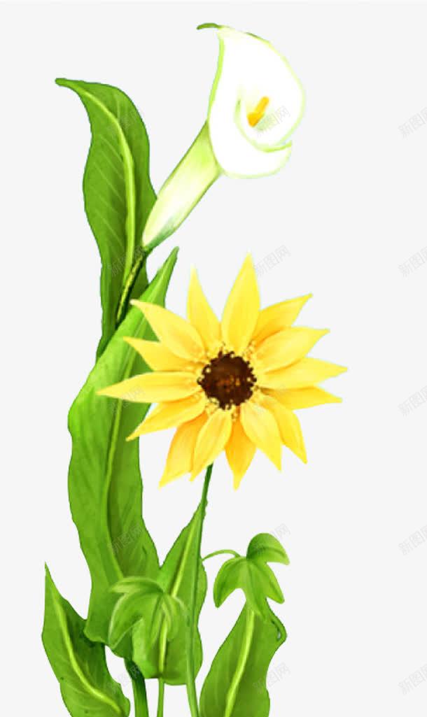 手绘清新花卉画报png免抠素材_88icon https://88icon.com 清新 画报 花卉
