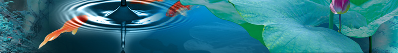 淡雅文艺花卉海报背景jpg设计背景_88icon https://88icon.com 女装 文艺 梦幻 浪漫 海报 淡雅 花卉 金鱼