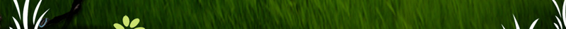 夏令营招生海报背景psd设计背景_88icon https://88icon.com 全程外教 夏令营 夏令营图片下载 招生 火爆开营啦 绿色 草原 骑马