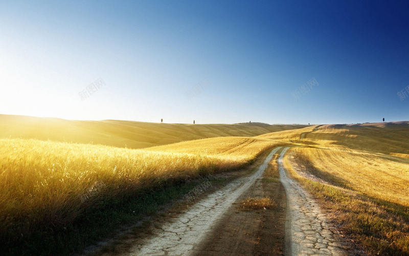 田野公路背景素材jpg设计背景_88icon https://88icon.com 背景 海报 素材 免费 高清 公路 田野 风景