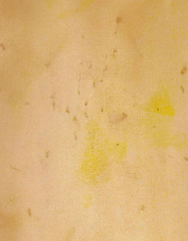 黄色底纹纹理H5背景素材jpg设计背景_88icon https://88icon.com 学术 底纹 文艺 纹理 黄色 H5 黄色背景 黄色素材 底纹素材 底纹纹理