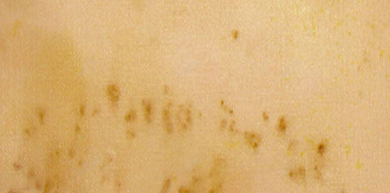 黄色底纹纹理H5背景素材jpg设计背景_88icon https://88icon.com 学术 底纹 文艺 纹理 黄色 H5 黄色背景 黄色素材 底纹素材 底纹纹理