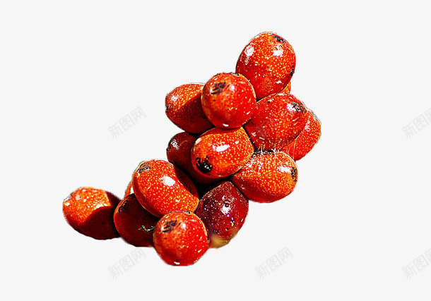 几颗火红的棕榈果果子png免抠素材_88icon https://88icon.com 几颗 果子 棕榈果 棕榈科 沙巴棕 灌木植物 火红