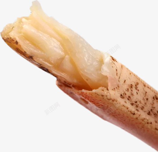 大闸蟹蟹腿肉png免抠素材_88icon https://88icon.com 大闸蟹 美食 螃蟹 蟹腿 蟹腿肉 高清大闸蟹