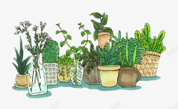 盆栽植物免扣素材png免抠素材_88icon https://88icon.com 盆栽 绿色植物 植物 绿植