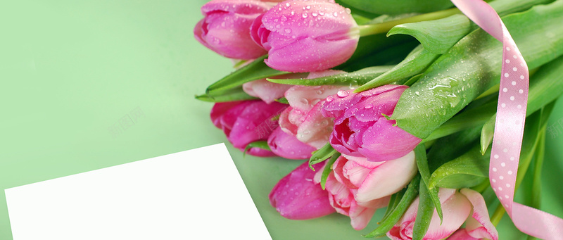 鲜花背景jpg设计背景_88icon https://88icon.com 鲜花 博客 广告 banner 明信片 淘宝 信纸 紫色 郁金香 海报banner 摄影 风景