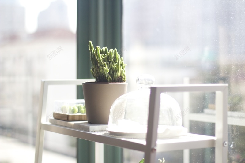 阳光下的花盆jpg设计背景_88icon https://88icon.com 阳光 花盆 木架 室内