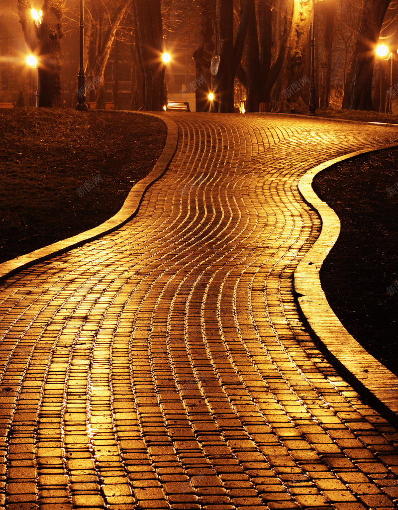 夜晚小区道路背景jpg设计背景_88icon https://88icon.com 夜晚 小区 梦幻 浪漫 灯光 道路