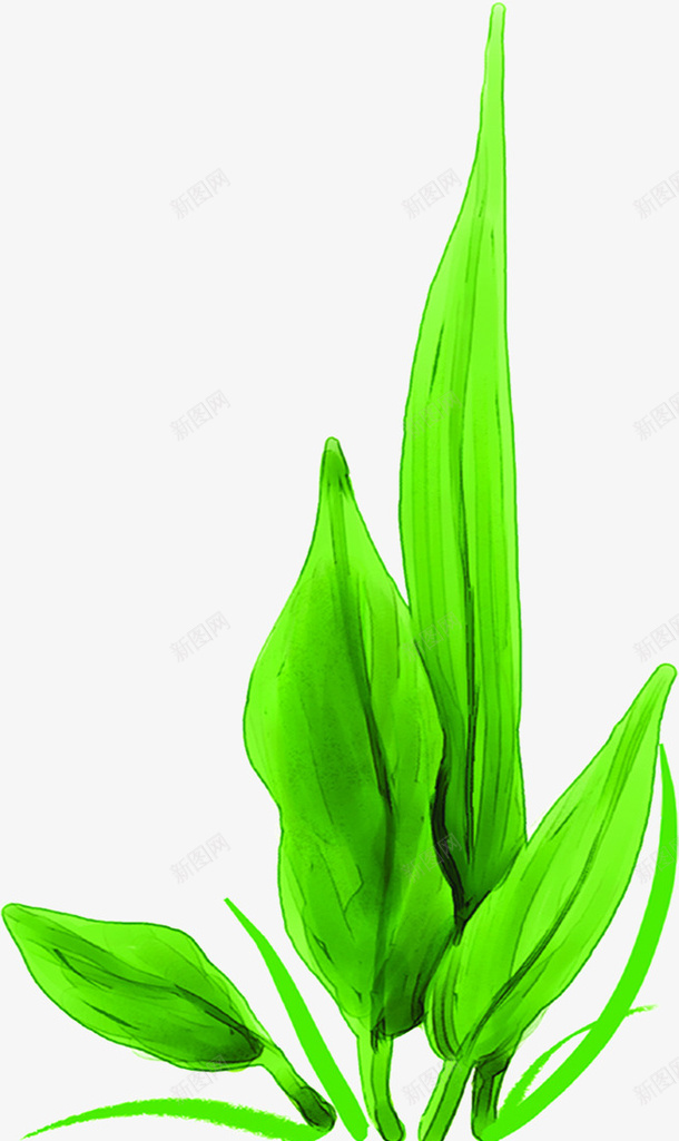 手绘春天绿色卡通植物树叶png免抠素材_88icon https://88icon.com 卡通春天 卡通树叶 卡通植物 卡通绿色 春天 植物 绿色 绿色春天 绿色树叶 绿色植物