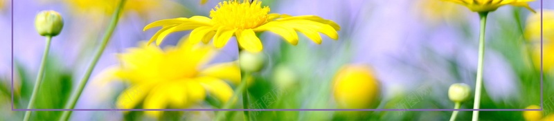 小清新7月你好PSDpsd设计背景_88icon https://88icon.com 7月你好 PSD源文件 PSD素材 七月 七月你好 你好7月 分层文件 小清新 清新 清爽 背景模板 背景海报 背景素材 花卉 花朵 高清背景