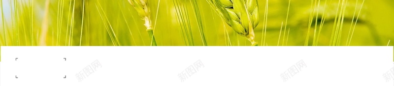 小清新二十四节气小满背景素材psd设计背景_88icon https://88icon.com 二十四节气小满 二十四节气 小满 清新 节气 24节气 传统节气 分层文件 PSD源文件 高清背景 PSD素材 背景海报 背景素材 背景模板
