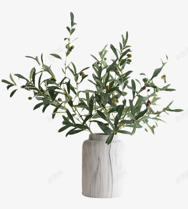 png免抠素材_88icon https://88icon.com 植物 盆栽 花卉 装饰