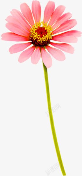 红色简约花朵美景田园png免抠素材_88icon https://88icon.com 田园 简约 红色 美景 花朵