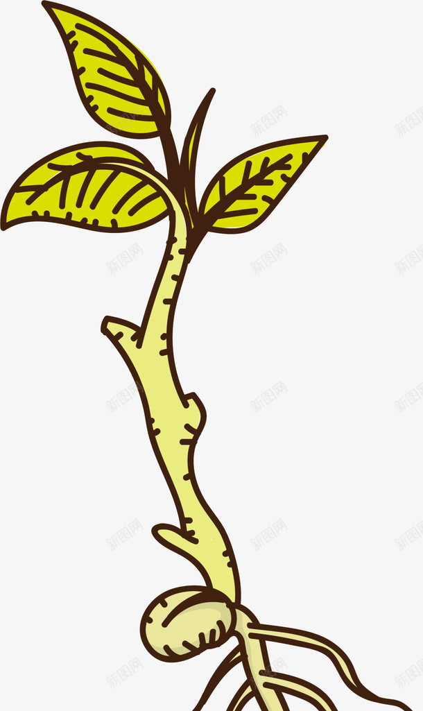 绿色卡通种子植物png免抠素材_88icon https://88icon.com 春天 春季 春日 植树节 植物 生长 种子 自然