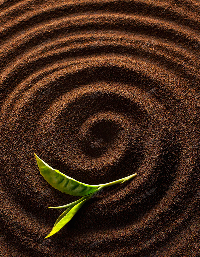 绿色植物素材背景jpg设计背景_88icon https://88icon.com 温暖 摄影 风景 背景图泥土