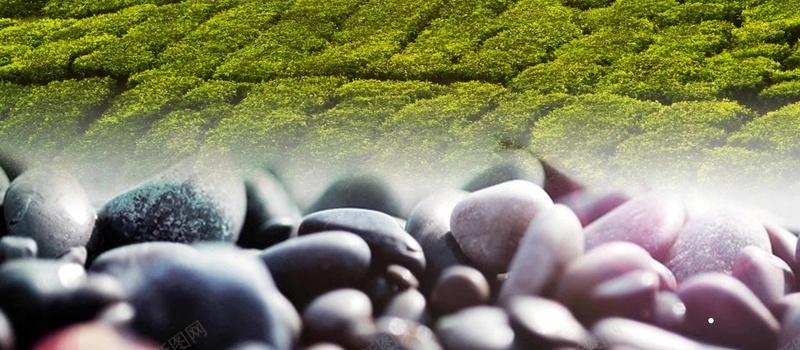 绿化茶文化背景psd设计背景_88icon https://88icon.com 小清新 文艺 植物 简约 绿茶田 茶叶 茶文化 茶田