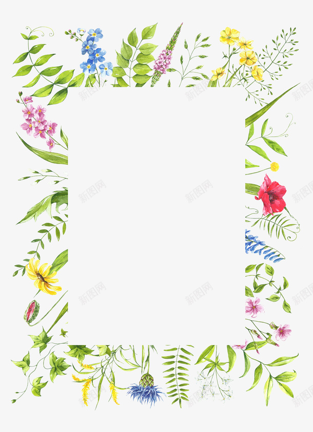 植物边框手绘植物花朵绿叶png免抠素材_88icon https://88icon.com 手绘植物 植物边框 绿叶 花朵