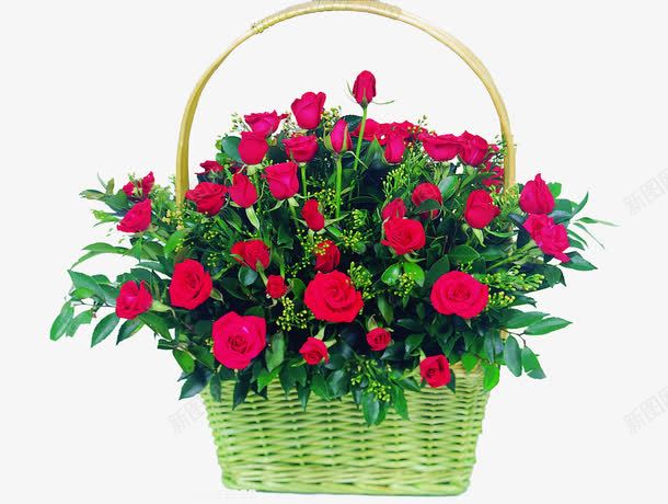 漂亮的玫瑰花花篮png免抠素材_88icon https://88icon.com 漂亮 玫瑰花 绿色 花篮