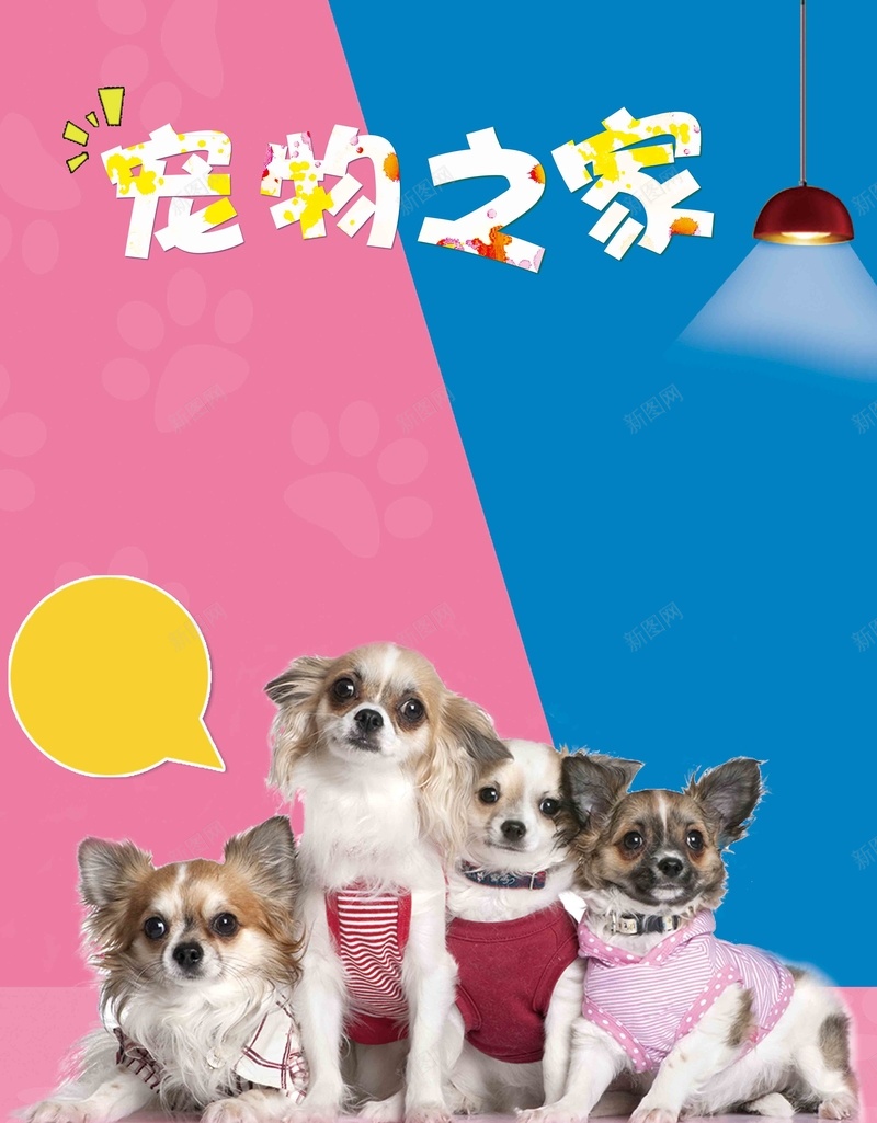 宠物之家宠物店猫狗卡通海报jpg设计背景_88icon https://88icon.com 宠物买卖 宠物交易 宠物海报 宠物美容 宠物店 宠物医院 宠物狗 宠物猫