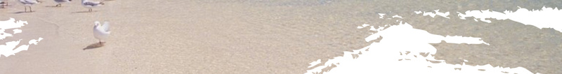2017澳大利亚旅游海报背景素材psd设计背景_88icon https://88icon.com 2017 澳大利亚 宣传 风景 飞机 气球 光感 椰树 旅游 海报 背景 素材