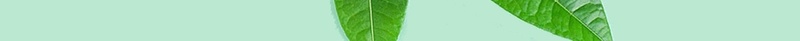 有茶生活更美好茶文化茶叶绿色清新海报模板psd设计背景_88icon https://88icon.com 海报 清新 绿色 美好 茶叶 茶文化 简约 节日 活动 促销 宣传