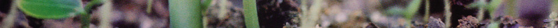 绿色生态环境宣传海报jpg设计背景_88icon https://88icon.com 公益环保 嫩芽 清新 环保 阳光 生态 生态绿色 生态环境 环境 环境海报 宣传海报