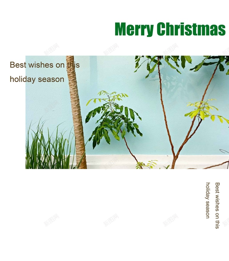 植物蓝色背景材料psd设计背景_88icon https://88icon.com 材料 植物 背景 蓝色