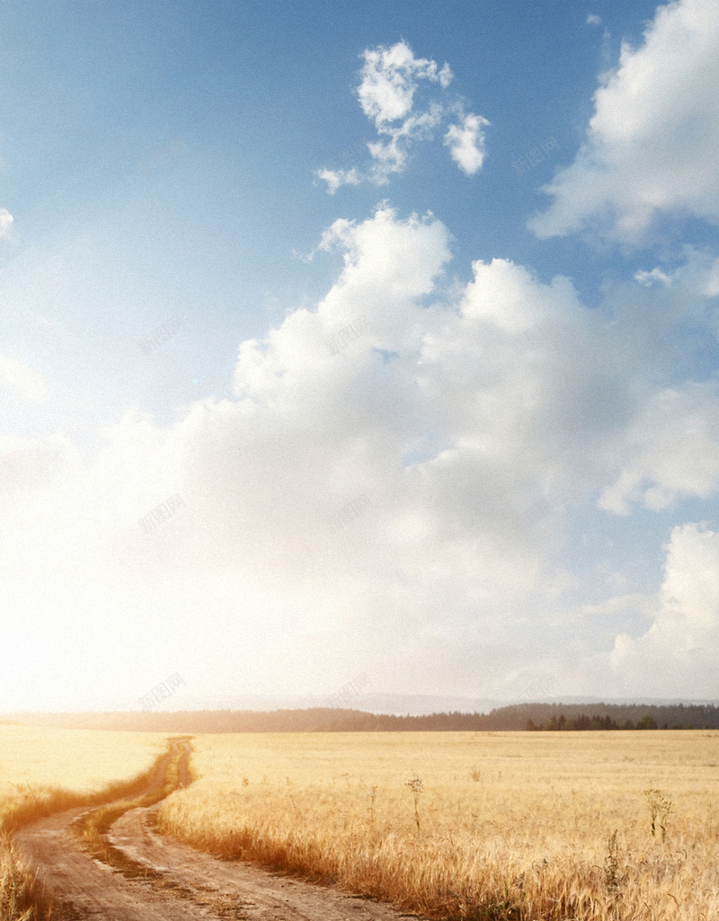 金色麦田H5背景jpg设计背景_88icon https://88icon.com H5 H5背景 h5 大气 白云 蓝天 金色 麦田