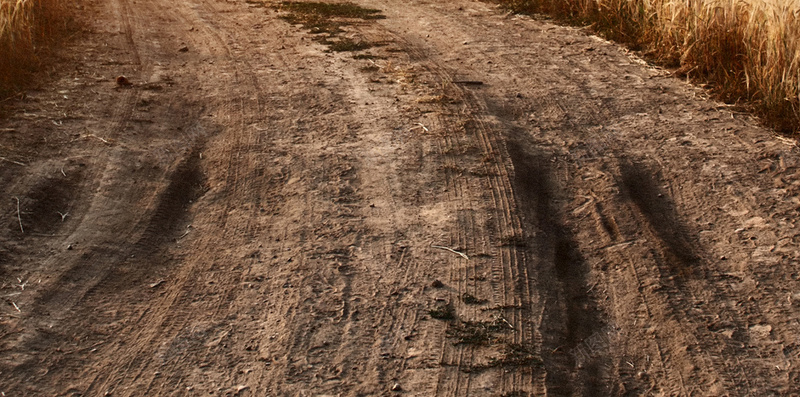 金色麦田H5背景jpg设计背景_88icon https://88icon.com H5 H5背景 h5 大气 白云 蓝天 金色 麦田