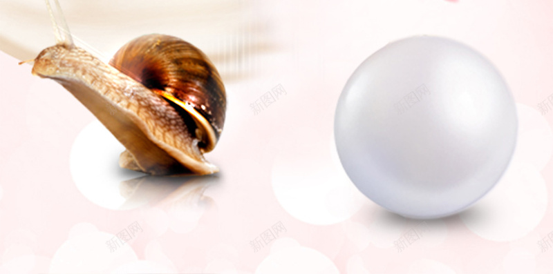 粉色花瓣珍珠贝壳H5背景psd设计背景_88icon https://88icon.com H5 h5 梦幻 浪漫 珍珠 粉色 花瓣 贝壳