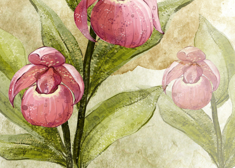 现代清新花卉美妆节电商海报背景psd设计背景_88icon https://88icon.com 化妆品 印花 女装活动 春女装 春季上新 春暖花开 淘宝 清新 约惠春天 美妆节 美容 花卉 鲜花