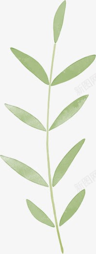 手绘清新绿色树叶装饰png免抠素材_88icon https://88icon.com 树叶 清新 绿色 装饰