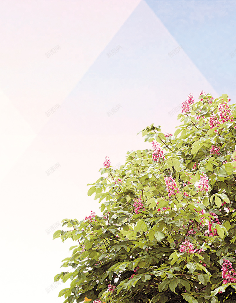 女装H5背景jpg设计背景_88icon https://88icon.com H5 H5背景 h5 几何 彩色 扁平 植物 渐变 炫酷