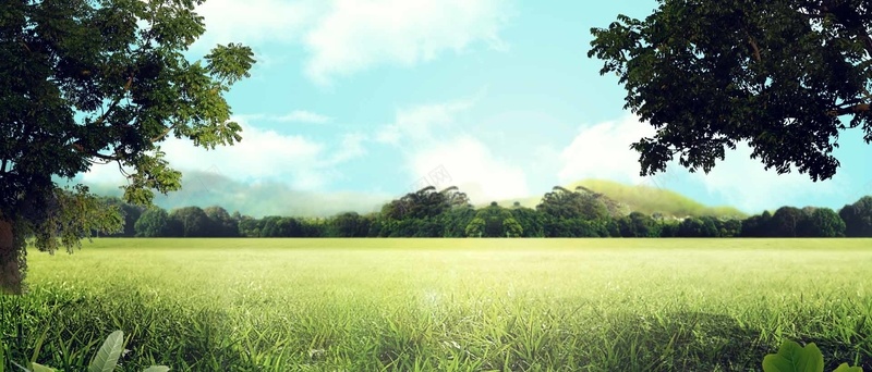 野外风景全屏海报bannerjpg设计背景_88icon https://88icon.com anner banner 全屏海报 树木 白云 简约 草 蓝天 风景