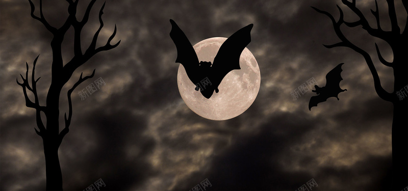 黑夜万圣节背景jpg设计背景_88icon https://88icon.com 黑夜 万圣节 月亮 蝙蝠 背景 海报banner