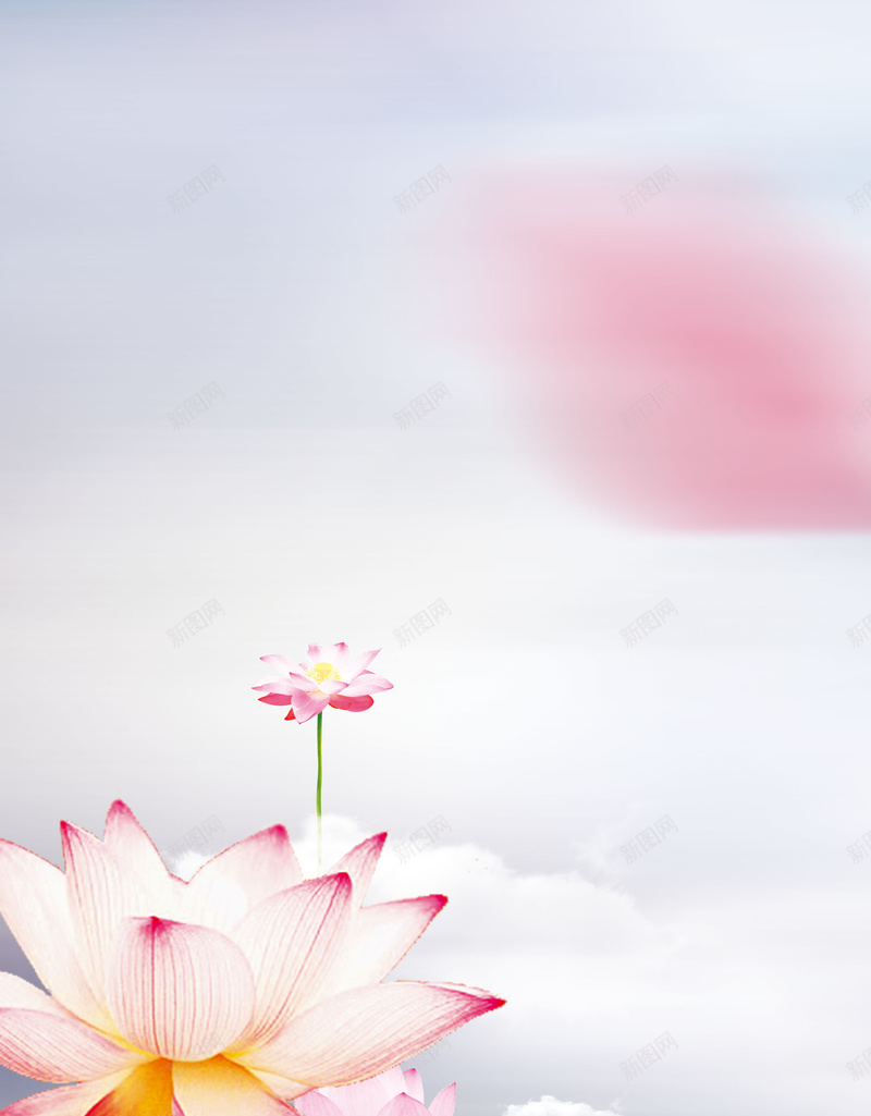 小清新莲花海报背景psd设计背景_88icon https://88icon.com 小清新 小清新背景 展板背景 海报 海报背景 背景 莲花 莲花背景