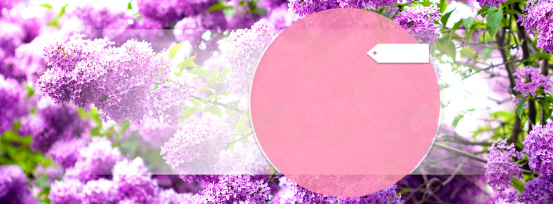 天猫粉丝节扁平红色花朵bannerpsd设计背景_88icon https://88icon.com banner 促销 商务 圆圈 天猫 扁平 打折 活动 粉丝节 红色 花朵 鲜花