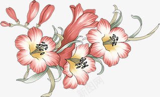卡通手绘花朵插画png免抠素材_88icon https://88icon.com 卡通 插画 花朵
