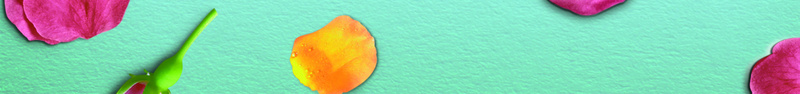薄荷绿花瓣背景元素psd设计背景_88icon https://88icon.com 唯美 小清新 文艺 简约 背景元素 花瓣 薄荷绿