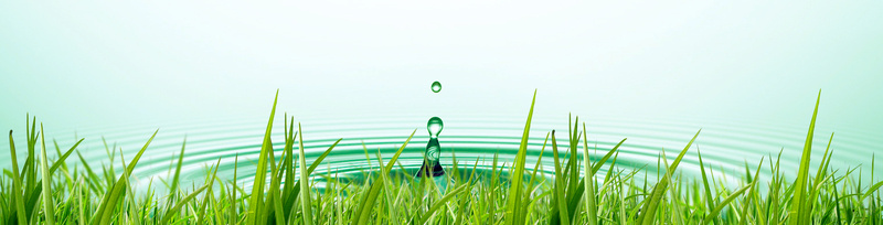 湖边水滴绿草海报banner背景psd设计背景_88icon https://88icon.com 绿草 海报banner背景 海报banner 摄影 风景 湖边水滴