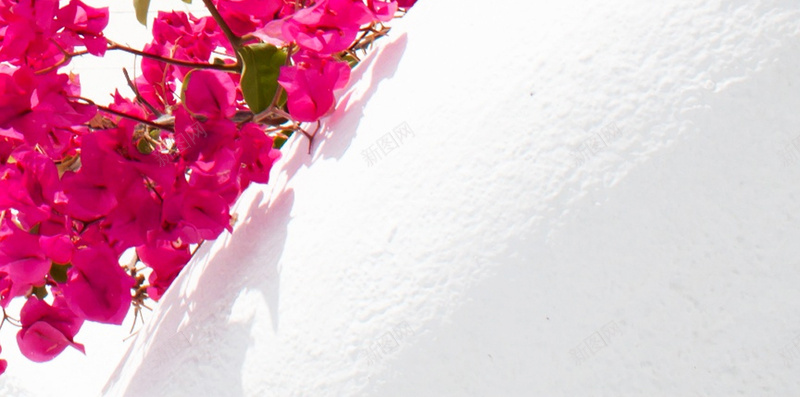 红色花卉H5背景jpg设计背景_88icon https://88icon.com H5 H5背景 h5 别墅 大气 海洋 红色 花卉 连排别墅