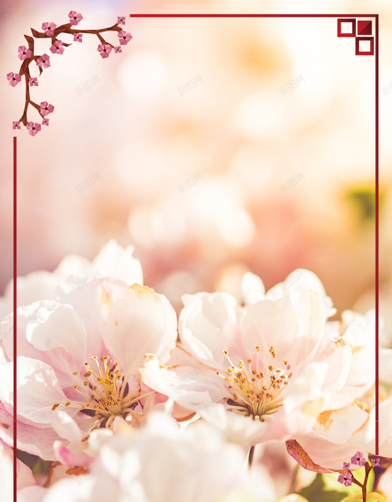 简约清新桃花二十四节气之春分海报psd设计背景_88icon https://88icon.com 2018 中国传统节气 二十四节气 小清新 春分 春季 桃花 简约 边框
