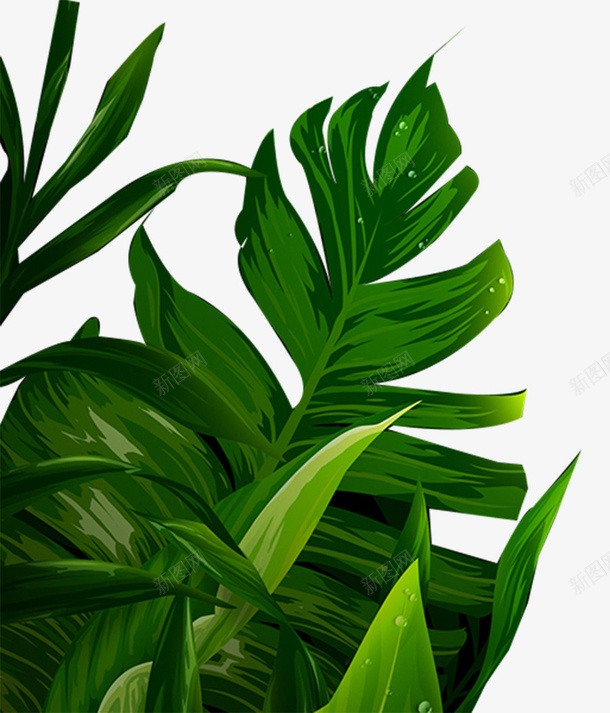 植物叶子森系公园绿化png免抠素材_88icon https://88icon.com 公园 叶子 植物 生态 盆景 绿化 绿色 观赏