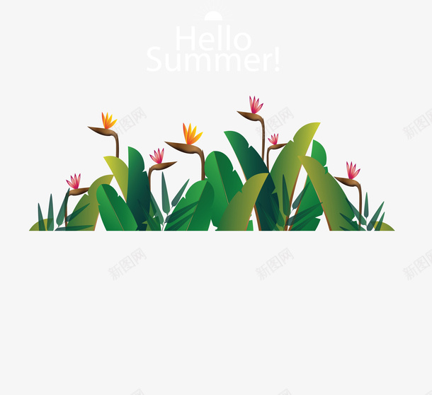 你好夏天美丽花丛矢量图ai免抠素材_88icon https://88icon.com 你好夏天 夏天花丛 小清新 小清新花丛 矢量png 花丛 矢量图