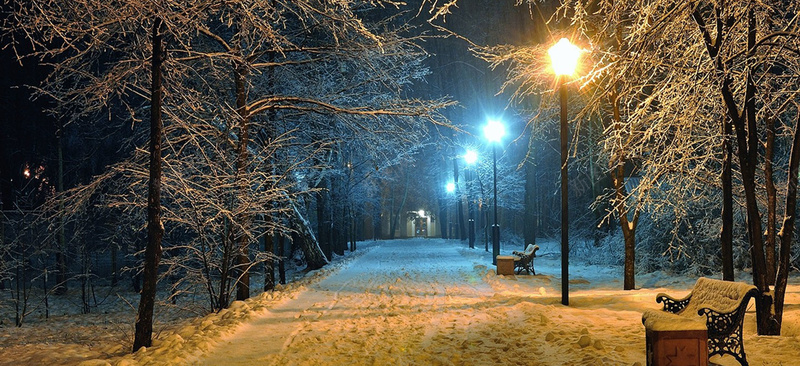 风景蓝天树路背景jpg设计背景_88icon https://88icon.com 风景 蓝天 树 路 海报banner 摄影