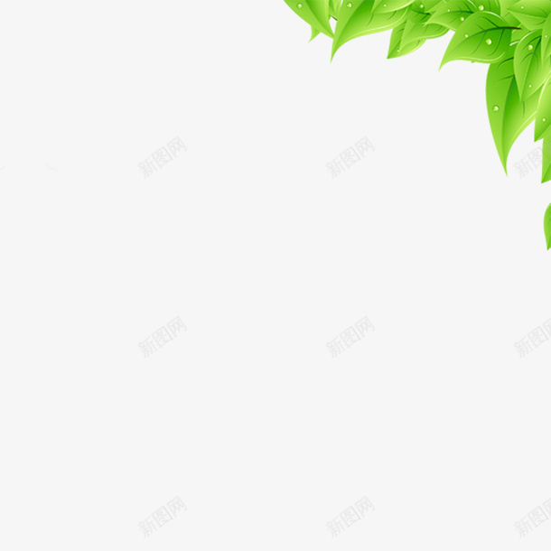 点缀用的绿叶png免抠素材_88icon https://88icon.com 叶子 新鲜叶子 绿叶 绿色叶子